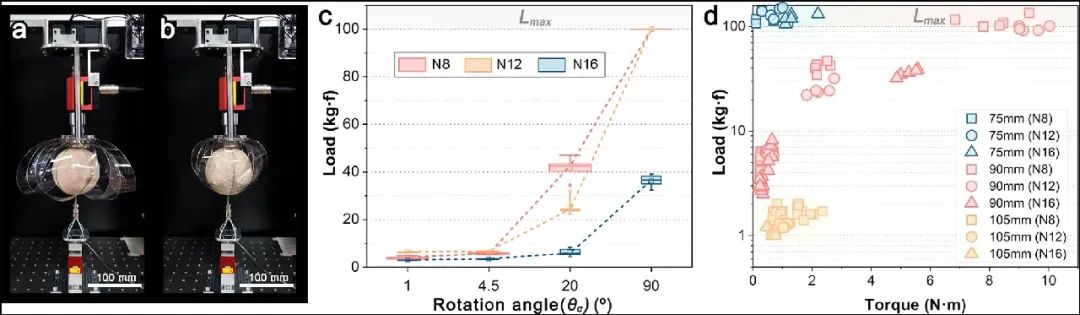 活久见 130克软质抓手是如何做到抓举100kg重物的？(图5)